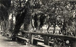 Ain Temouchent 505- Jardins COLLECTION DES AMIS DE ND DE SANTA CRUZ